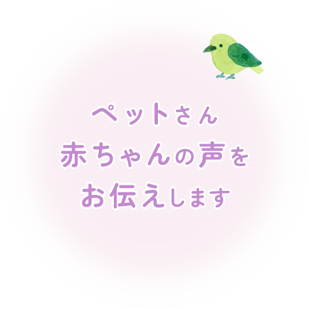 長崎県で空き家をお持ちの方は民泊投資で素早く利益を！